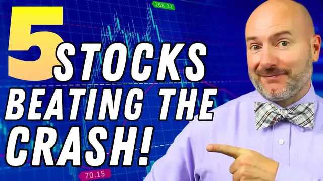 Video thumbnail for Crash-Proof Stocks & Profitability in a Bear Market: Weekly Stock Market Update