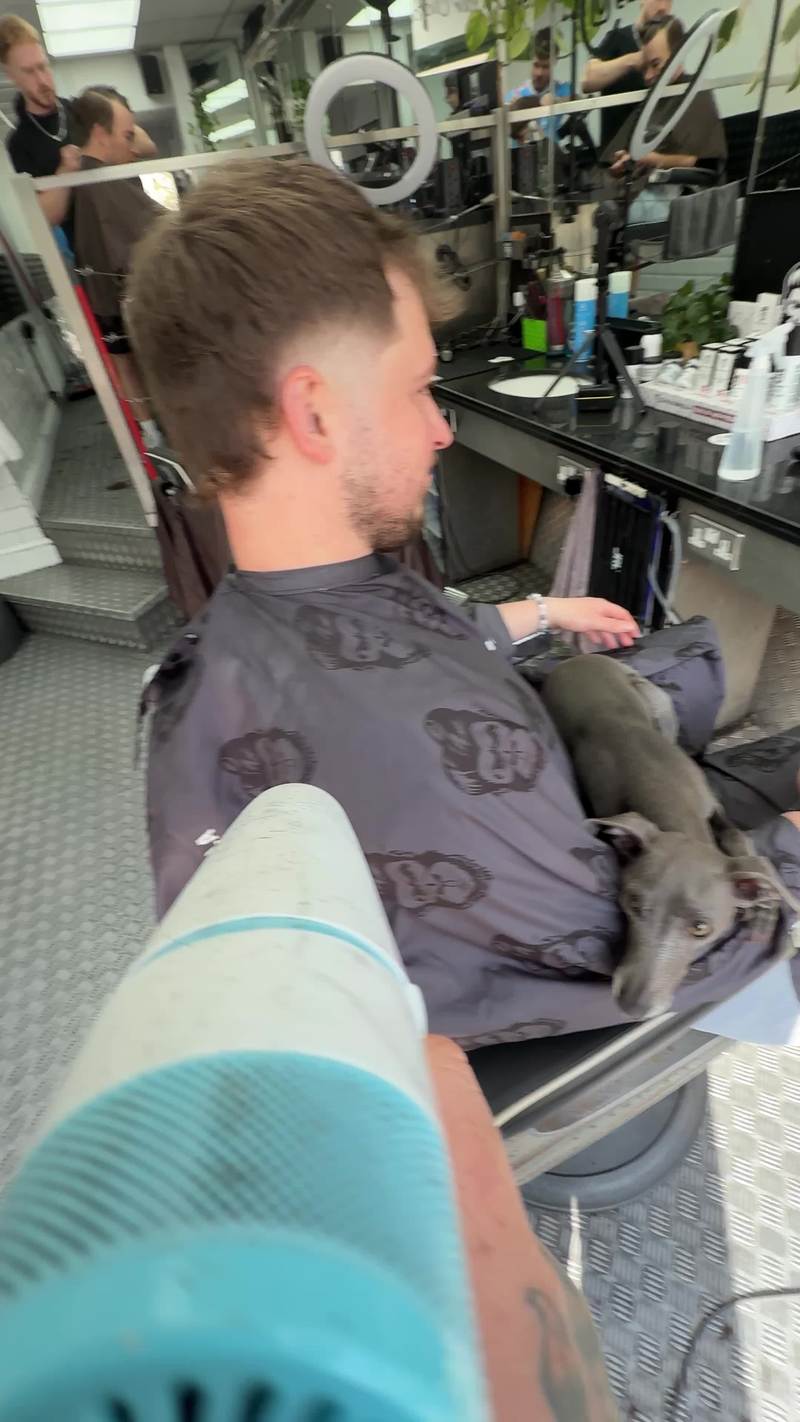 Video thumbnail for Playful Italian Greyhound Chasing Hairdryer Air at the Barbershop