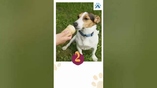 Video thumbnail for The Weird Things Dogs Love To Do