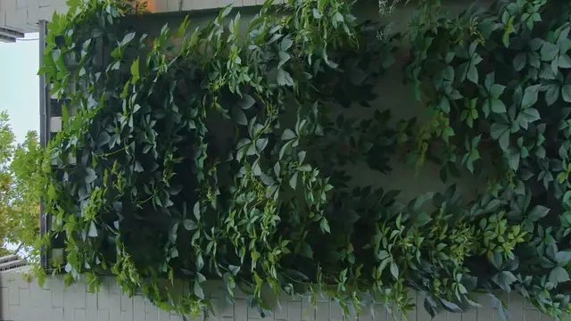 Video thumbnail for Seasonal Vertical Gardening Tips: Grow Year-Round!