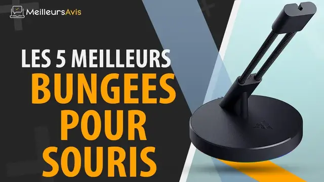 Video thumbnail for ⭐️ MEILLEUR BUNGEE POUR SOURIS - Avis & Guide d'achat (Comparatif 2021)