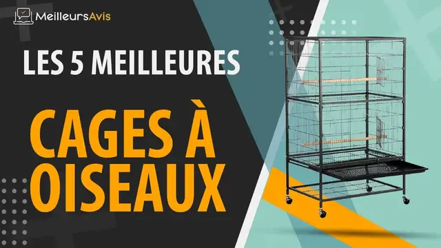 Video thumbnail for ⭐️ MEILLEURE CAGE À OISEAUX - Avis & Guide d'achat (Comparatif 2021)