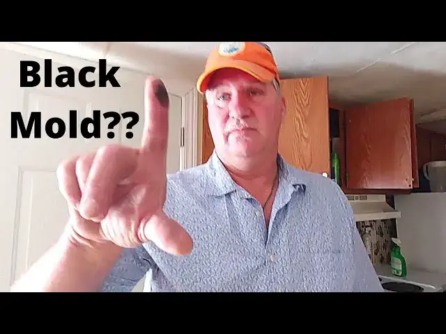 Video thumbnail for Phil on Black Mold
