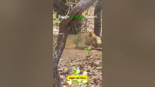 Video thumbnail for Rajgir Famous Places to visit