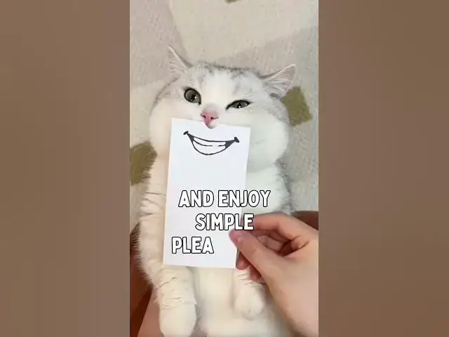 Video thumbnail for #cat #cutecat #pet #kitten #catlover #funny #facts #comedy click here https://shrinkme.org/KKHDVy