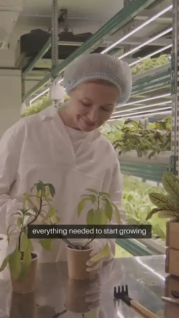 Video thumbnail for Indoor Gardening Kits