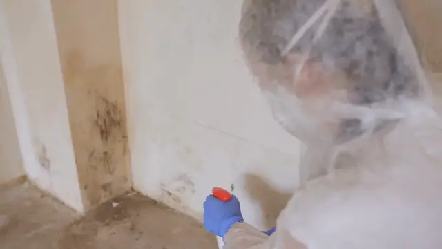 'Video thumbnail for Can Ozone Get Rid of Mold Smell in a House? (The Truth About Odor Removal)'
