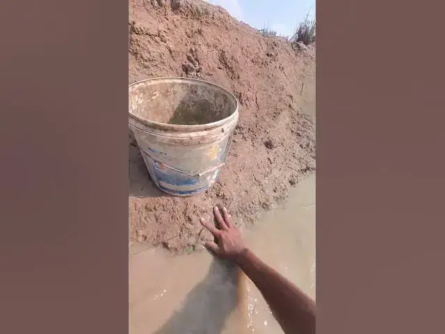 Video thumbnail for fishman catch fish Ep062 #shortbird #fishcatch #wildfish #topcatch #fish #viralfish