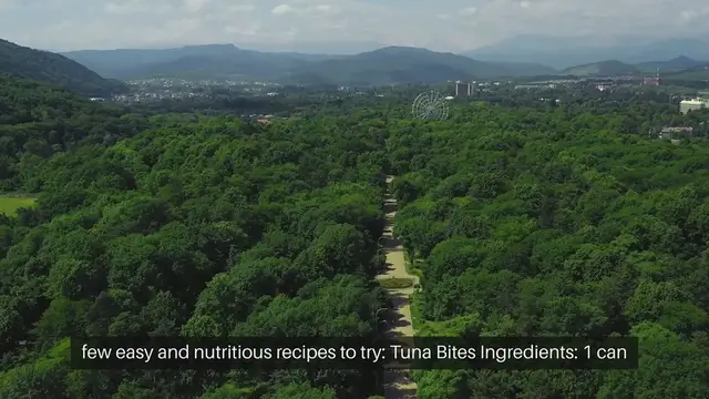 Video thumbnail for Homemade Cat Treat Recipes