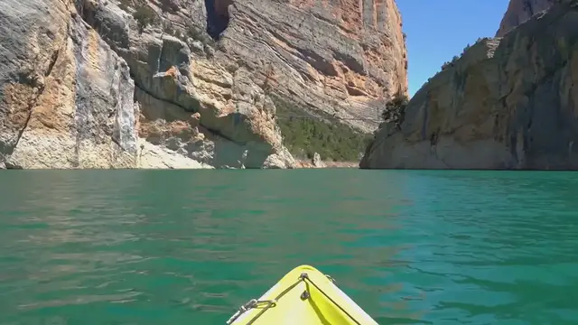 Video thumbnail for "Who Is Larry Bird's Wife? All About Dinah Mattingly"