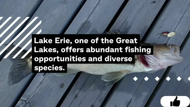 Video thumbnail for Fishing Map of Lake Erie
