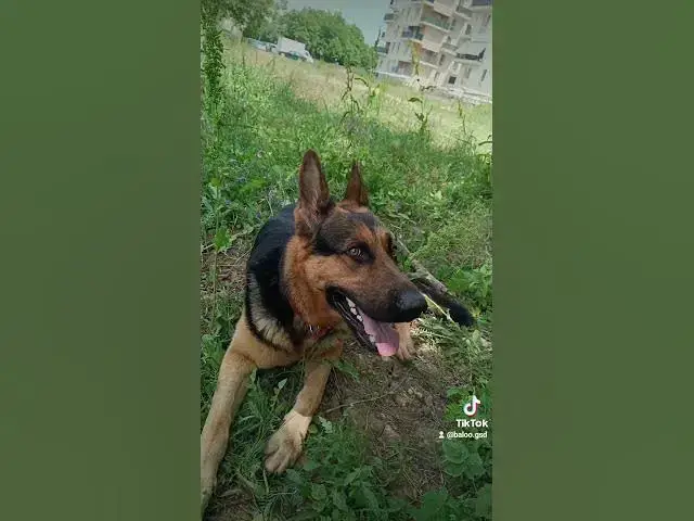 Video thumbnail for 4 august 2024