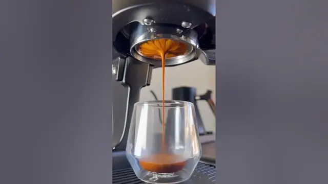 'Video thumbnail for ♥ Cinnamon Hazelnut brew #coffee #shorts #coffeelover'