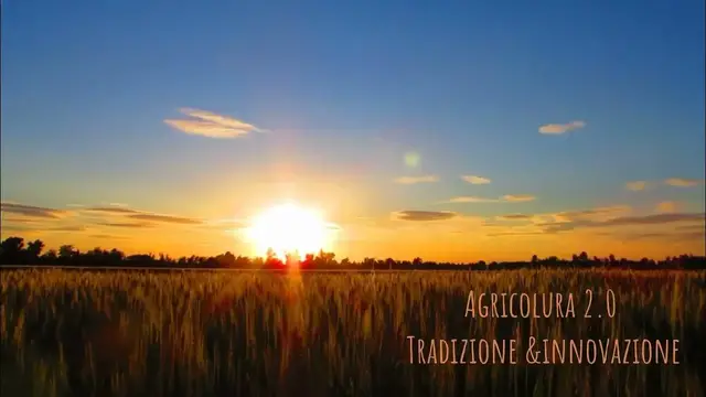 Video thumbnail for WWII videoL'agricoltura sostenibile: come ridurre l'impatto ambientale dell'agricoltura