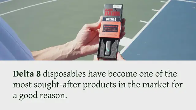 Video thumbnail for 6 Alternative Reasons To Try Delta 8 Disposables This Winter: