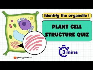 'Video thumbnail for Plant Cell Structure Quiz|| Identify The Organelle in 3 seconds!'