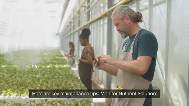 Video thumbnail for Aeroponic Gardening Maintenance Tips