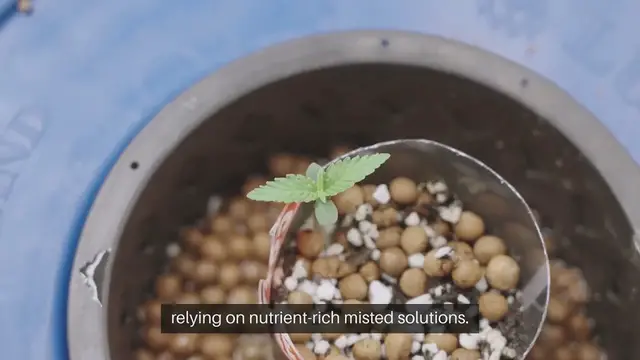 Video thumbnail for Aeroponic Gardening System Components