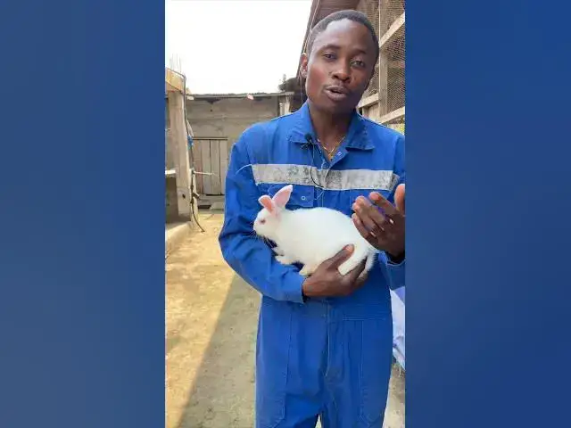 'Video thumbnail for Otto's Farms Presents a Year of Farming Diversity! 馃悋馃悷馃悡馃悥'