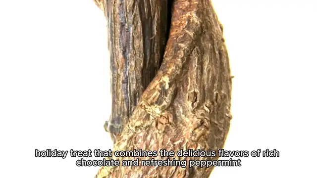 Video thumbnail for Peppermint Bark Recipe