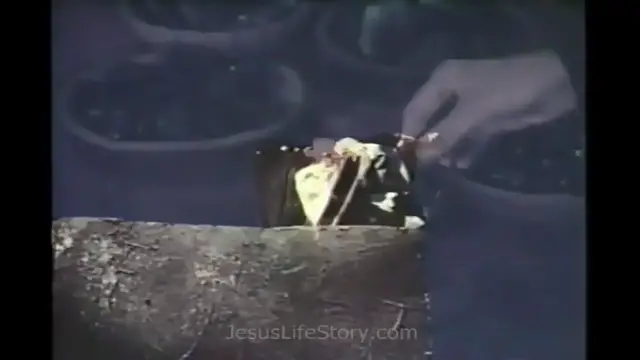 Video thumbnail for 11   Lord of the Sabbath