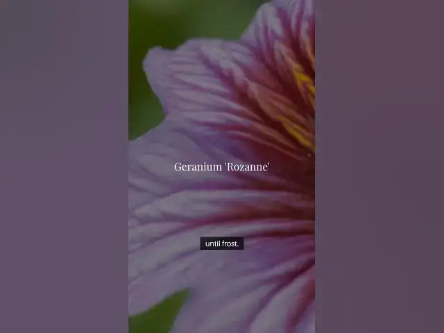 Video thumbnail for Blooming Perennial Paradise Top 6 Flower  #GardenInspiration #BloomingBeauty #SunLovingPlants