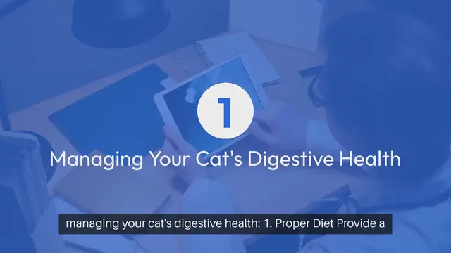 Video thumbnail for Cat Digestive Health Management