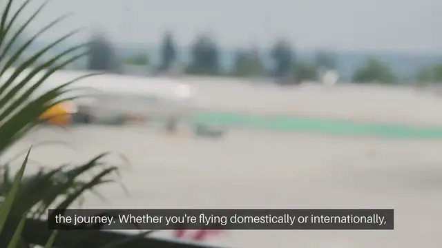 'Video thumbnail for Air Travel with Pets Guide'