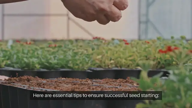 Video thumbnail for Tips for Successful Seed Starting