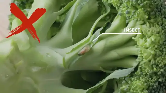 Video thumbnail for STOP Ruining Broccoli ❌ Do THIS for Crispy   Flavorful Broccoli Every Time  ✅   Japanese Chef(720P HD)