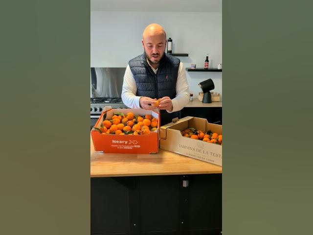 Video thumbnail for ☀️ Clémentines de Corse IGP 🍊 – Le goût du soleil directement chez vous !