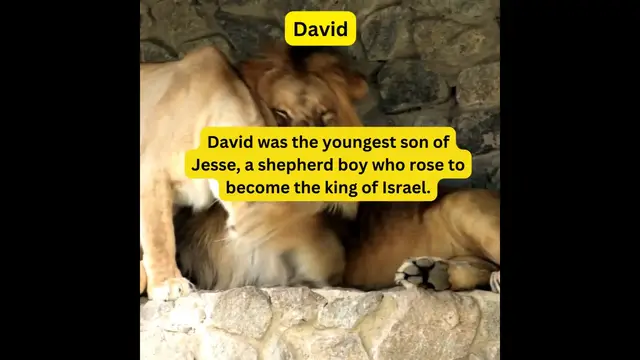 Video thumbnail for Young  Leadership Video