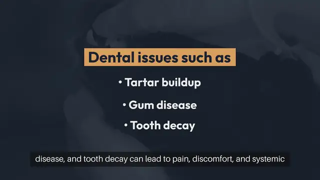 Video thumbnail for Cat Dental Hygiene Products