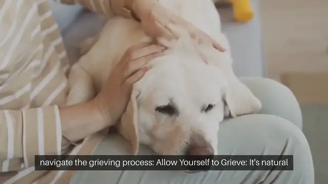 Video thumbnail for Coping with Pet Loss