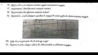 Video thumbnail for 12th Zoology First Revision Question Paper 2019-20 | Kanchipuram District | Tamil Medium