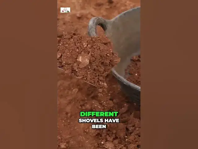 'Video thumbnail for Choosing the Right Shovel for Archaeology Success'