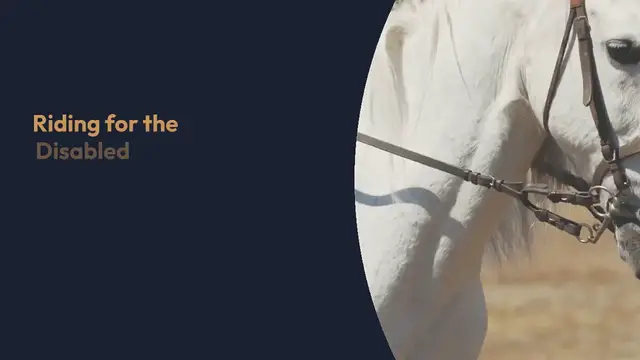 Video thumbnail for Princess Anne Resumes Royal Duties with Heartfelt Visit to Riding for the Disabled Association Championships