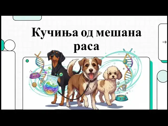 Video thumbnail for Кучиња од мешана раса - мелез или мешанче
