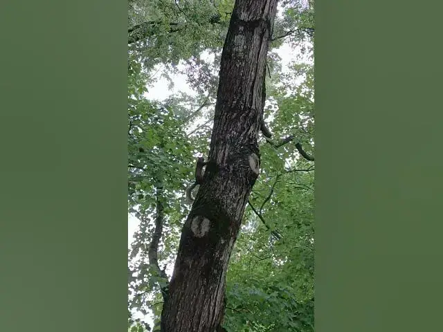 Video thumbnail for 10 de julio de 2025