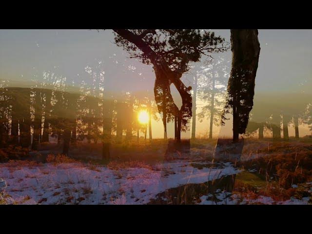 Video thumbnail for Initiation into of Eternal Flame - Initiations with Mystic, Marilynn Hughes, Out of Body Travel