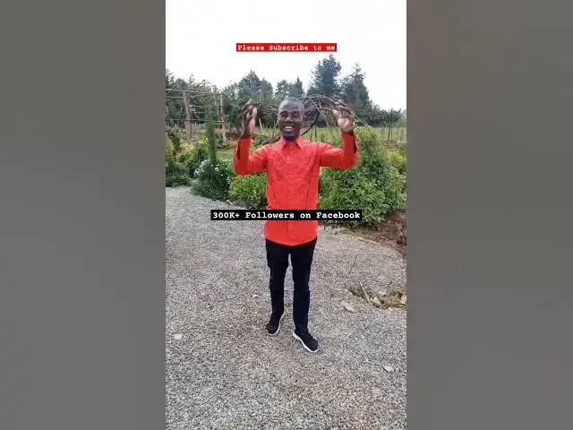 Video thumbnail for 300K+ Fans #johnselephilip #facebook #foryou #follow #god #celebration #laugh #smile #shortvideo