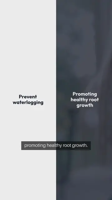 Video thumbnail for Indoor Gardening Containers