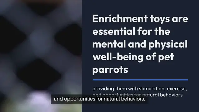 'Video thumbnail for Parrot Enrichment Toys'