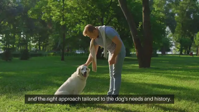 Video thumbnail for Housebreaking Adult Dogs