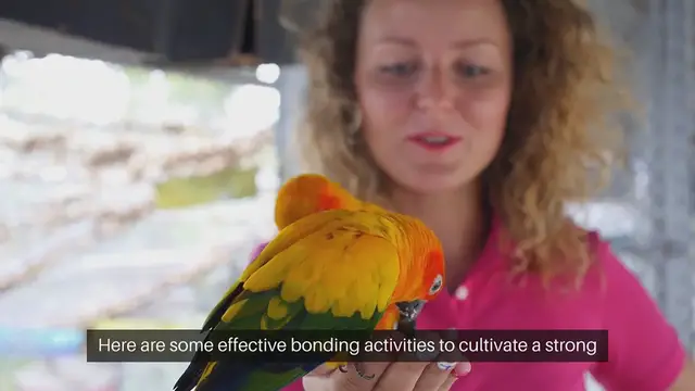 Video thumbnail for Parrot Bonding Activities