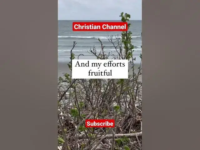 Video thumbnail for Dear God #johnselephilip #religion #god #jesuschrist #bible #prayer #religious #jesus #religion