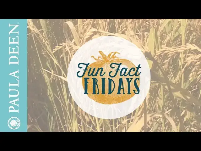 Video thumbnail for Carolina Gold Rice - Fun Fact Friday