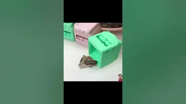 Video thumbnail for 🌟 Product Link is in Description 🌟 | Melon Seed Peeler and Shelling Machine | #viral