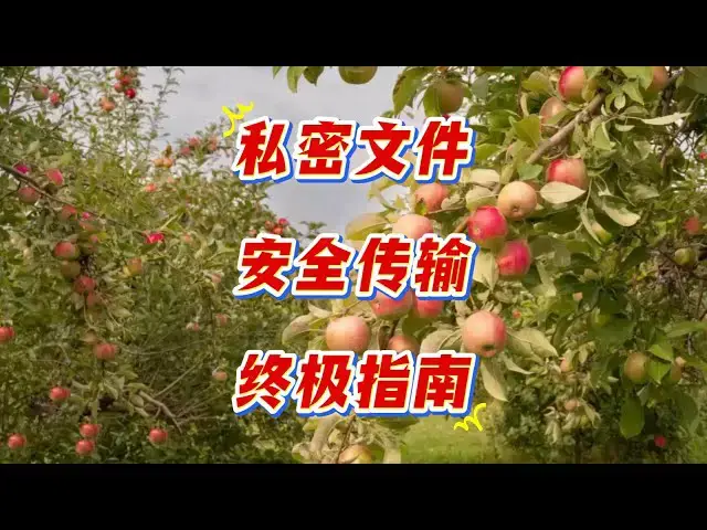 'Video thumbnail for 发送文件必看！一键给文件加密码，隐私不泄露'