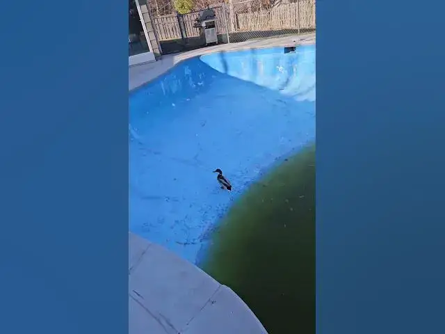 Video thumbnail for April 5, 2025